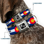 Dog Bone Black/Silver Seatbelt Buckle Collar - Colorado STEAMBOAT Flag Blue/White/Red/Yellow