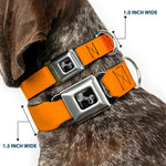 Dog Bone Black/Silver Seatbelt Buckle Collar - Summer Essentials Color Block 2