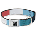 Load image into Gallery viewer, Dog Bone Black/Silver Seatbelt Buckle Collar - Summer Essentials Color Block 4