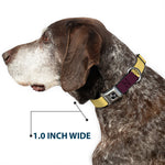 Dog Bone Black/Silver Seatbelt Buckle Collar - Summer Essentials Color Block 5