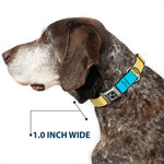Dog Bone Black/Silver Seatbelt Buckle Collar - Summer Essentials Color Block 6