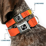 Dog Bone Black/Silver Seatbelt Buckle Collar - Summer Essentials Color Block 9