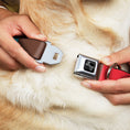 Load image into Gallery viewer, Dog Bone Black/Silver Seatbelt Buckle Collar - Summer Essentials Color Block 9