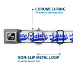 Dog Bone Black/Silver Seatbelt Buckle Collar - SAUCE Baseball Script White/Blue