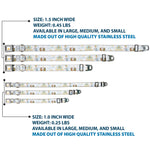 Disney Princess Crown Full Color Golds Seatbelt Buckle Collar - Cinderella Pumpkin Coach and Mice Pose with Script White/Blues