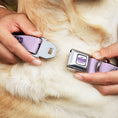 Load image into Gallery viewer, THE PROUD FAMILY Title Logo Full Color White/Purple Seatbelt Buckle Collar - THE PROUD FAMILY Title Logo Purples