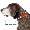 Load image into Gallery viewer, Flash Logo Black Seatbelt Buckle Collar - Flash Logo Red/White/Yellow