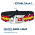Load image into Gallery viewer, Flash Logo Black Seatbelt Buckle Collar - The Flash Bolt Stripe Red/Yellow