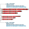 Load image into Gallery viewer, Flash 2023 Title Logo Full Color White/Yellow/Red Seatbelt Buckle Collar - The Flash 2023 2-Poses Close-Up Reds