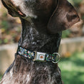 Load image into Gallery viewer, Looney Tunes Logo White Seatbelt Buckle Collar - Looney Tunes 6-Character Stacked Collage4