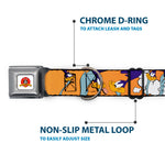 Looney Tunes Logo White Seatbelt Buckle Collar - ROAD RUNNER w/Road Runner Poses Orange