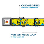 Looney Tunes Logo Full Color White Seatbelt Buckle Collar - Tweety Bird CLOSE-UP Expressions Baby Blue
