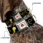 Looney Tunes Logo Full Color White Seatbelt Buckle Collar - Tweety Bird Poses CUTE AND SWEET Black/Yellow