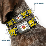 Looney Tunes Logo Full Color White Seatbelt Buckle Collar - Tweety Bird & Crossbones Black/White/Yellow