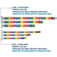 Load image into Gallery viewer, Looney Tunes THAT'S ALL FOLKS Script Full Color White/Multi Color Seatbelt Buckle Collar - Looney Tunes 6-Character Pose Pride Blocks Multi Color