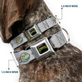 Load image into Gallery viewer, Classic TEENAGE MUTANT NINJA TURTLES Logo Seatbelt Buckle Collar - Teenage Mutant Ninja Turtles Expressions Gray
