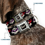 Road Rebel TMNT Logo Black/Gray Seatbelt Buckle Collar - TMNT 4-Turtle Road Rebel Skulls Black