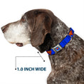 Load image into Gallery viewer, Superman Full Color Blue Seatbelt Buckle Collar - Superman Shield Blue