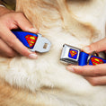 Load image into Gallery viewer, Superman Full Color Blue Seatbelt Buckle Collar - Superman Shield Blue