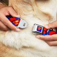 Load image into Gallery viewer, Superman Full Color Blue Seatbelt Buckle Collar - Superman Shield w/Cape