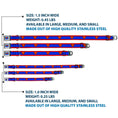Load image into Gallery viewer, Superman Full Color Blue Seatbelt Buckle Collar - Superman Shield/Stripe Red/Blue