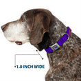 Load image into Gallery viewer, Bizzaro Logo Full Color Blue Seatbelt Buckle Collar - Bizzaro Logo w/Bizzaro Pose