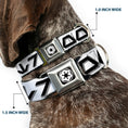 Load image into Gallery viewer, Star Wars Galactic Empire Insignia Full Color Black/White Seatbelt Buckle Collar - Star Wars Aurebesh STORMTROOPER White/Gray/Black