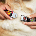 Load image into Gallery viewer, Tom and Jerry Logo Full Color Black Red Seatbelt Buckle Collar - TOM & JERRY Poses Black/Multi Color