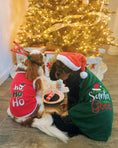 Load image into Gallery viewer, Parisian Pet 'Dear Santa Define Good' Dog Christmas T-Shirt - Festive Pet Shirt for Cats & Dogs, Green