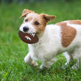 Load image into Gallery viewer, Denver Broncos Hard Nylon Football Chew Toy