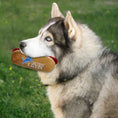 Load image into Gallery viewer, Detroit Lions Plush Hot Dog Toy
