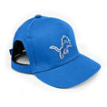 Load image into Gallery viewer, NFL Detroit Lions Dog Hat