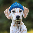 Load image into Gallery viewer, NFL Detroit Lions Dog Hat