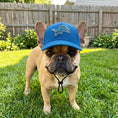 Load image into Gallery viewer, NFL Detroit Lions Dog Hat
