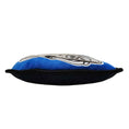 Load image into Gallery viewer, Detroit Lions Helmet Tough Toy