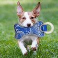 Load image into Gallery viewer, Detroit Lions Zubaz Dental Ring Toy