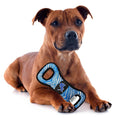 Load image into Gallery viewer, Detroit Lions Zubaz Pull Toy