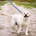 Load image into Gallery viewer, Detroit Lions Zubaz Leash