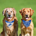 Load image into Gallery viewer, Detroit Lions Zubaz Reversible Dog Bandana