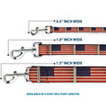 Load image into Gallery viewer, Dog Leash - American Flag Weathered Color Repeat