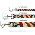 Load image into Gallery viewer, Dog Leash - Americana Diagonal Vintage Stars & Stripes2