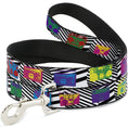 Load image into Gallery viewer, Dog Leash - Eighties Boomboxes