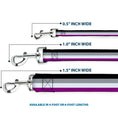Load image into Gallery viewer, Dog Leash - Flag Asexual Black/Gray/White/Purple