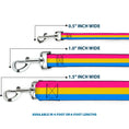 Load image into Gallery viewer, Dog Leash - Flag Pansexual Pink/Yellow/Blue