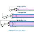 Load image into Gallery viewer, Dog Leash - Flag Transgender Baby Blue/Baby Pink/White