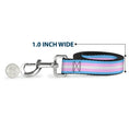 Load image into Gallery viewer, Dog Leash - Flag Transgender Baby Blue/Baby Pink/White