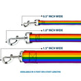 Load image into Gallery viewer, Dog Leash - Flag Pride Rainbow