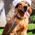 Load image into Gallery viewer, Dog Leash - Holly & Mistletoe