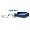 Load image into Gallery viewer, Dog Leash - Hash Mark Stripe Turquoise/Fuchsia/White