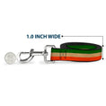 Load image into Gallery viewer, Dog Leash - Ireland Flag Stripes Distressed